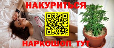 не бодяженный Кингисепп