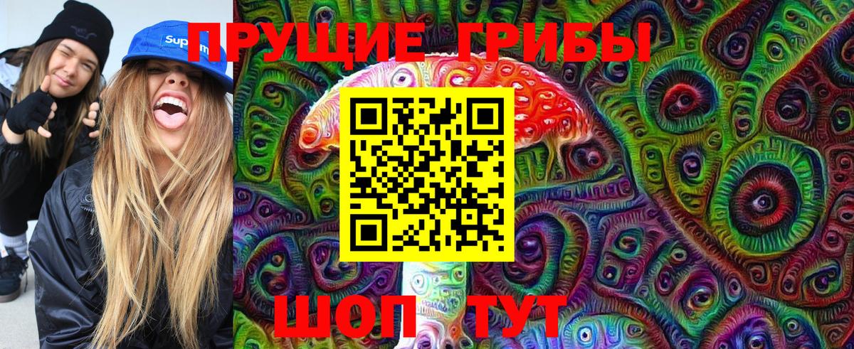Галлюциногенные грибы Psilocybine cubensis  Галлюциногенные грибы мицелий  Шебекино  Вход с VPN 